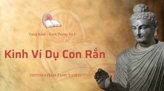 Kinh Trung Bộ 22 - Kinh Ví Dụ Con Rắn - TT. Giác Hoàng giảng