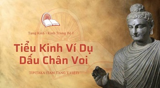 Kinh Trung Bộ 27 - Tiểu Kinh Ví Dụ Dấu Chân Voi