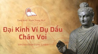 Kinh Trung Bộ 28 - Đại Kinh Ví Dụ Dấu Chân Voi - SC Thuỷ Liên giảng