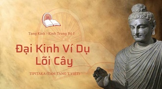 Kinh Trung Bộ 29 - Đại Kinh Ví Dụ Lõi Cây - ĐĐ. Minh Điệp giảng