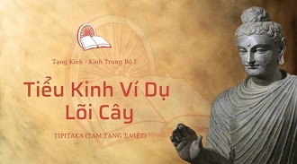 Kinh Trung Bộ 30 - Tiểu Kinh Ví Dụ Lõi Cây - TT. Giác Hoàng giảng
