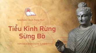 Kinh Trung Bộ 31 - Tiểu Kinh Rừng Sừng Bò - ĐĐ. Minh Tuế giảng