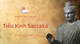 Kinh Trung Bộ 35 - Tiểu Kinh Saccaka - ĐĐ. Giác Nhường giảng
