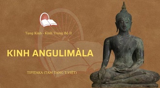 Kinh Trung Bộ 86 – Kinh Angulimàla - ĐĐ. Minh Chuyển giảng 