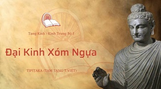Kinh Trung Bộ 39 - Đại Kinh Xóm Ngựa 