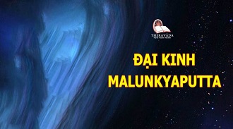 Kinh Trung Bộ 64 – Đại Kinh Màlunkyàputta - SC Thủy Liên giảng 