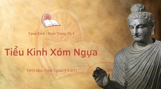 Kinh Trung Bộ 40 - Tiểu Kinh Xóm Ngựa - TT. Giác Viễn giảng
