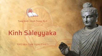 Kinh Trung Bộ 41 - Kinh Sàleyyaka