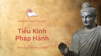 Kinh Trung Bộ 45 - Tiểu Kinh Pháp Hành - ĐĐ. Giác Nhãn giảng
