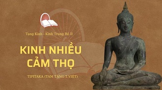 Kinh Trung Bộ 59 – Kinh Nhiều Cảm Thọ - ĐĐ. Minh Thắng giảng