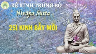 Kinh Trung Bộ 25 - Kinh Bẫy Mỗi - ĐĐ. Minh Thắng giảng