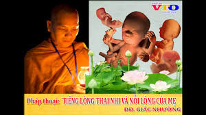 Pháp thoại trong đêm 002 - ĐĐ Thích Giác Nhường