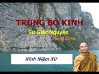 Kinh Trung bộ 10. Kinh Niệm Xứ 