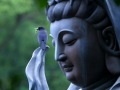 Yêu Thương không lời