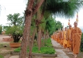 Có nguyện mà không cầu xin