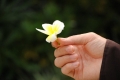 Những câu từ thiền sư Thích Nhất Hạnh