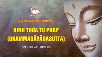 Kinh Trung bộ 3. Kinh Thừa tự Pháp - ĐĐ. Minh Đức giảng