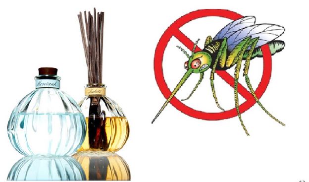 Bật mí cách trị bé bị muỗi đốt tại nhà và biện pháp phòng ngừa